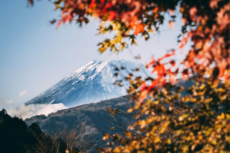 1-Day Mt Fuji and Hakone Sightseeing trip from Tokyo - Key points to know before booking