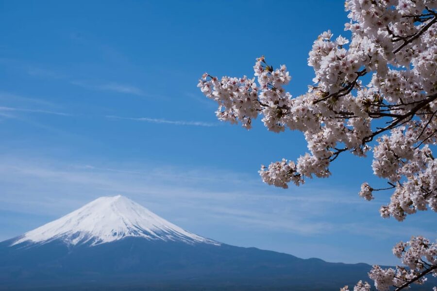 1-Day Mt Fuji and Hakone Sightseeing trip from Tokyo - Lake Kawaguchi: water, lunch, and first Fuji views