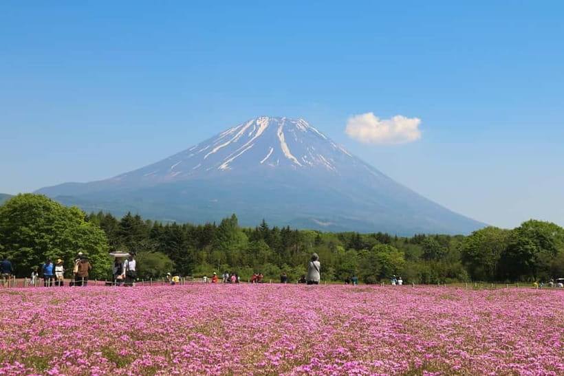 1-Day Mt Fuji and Hakone Sightseeing trip from Tokyo - Chureito Pagoda and the famous uphill view