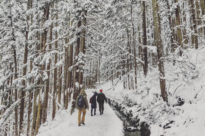1-Day Snow Monkeys, Zenko-ji Temple & Sake in Nagano - The forest walk to Jigokudani Snow Monkey Park