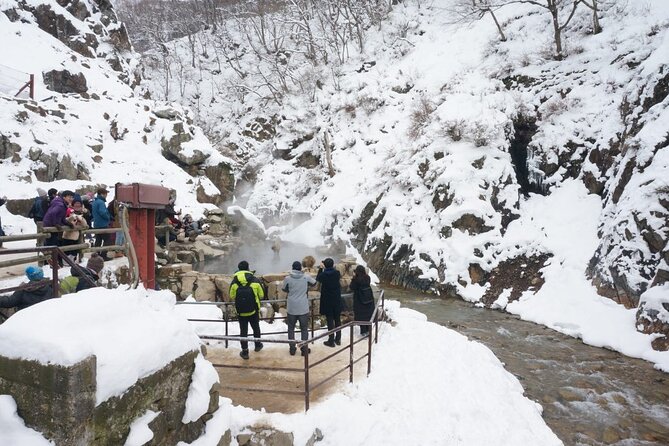1-Day Snow Monkeys, Zenko-ji Temple & Sake in Nagano - Is $151.88 good value?