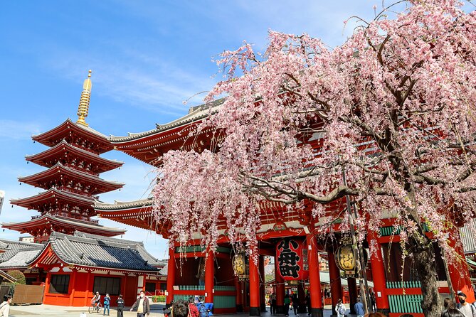 1-Day Tokyo Bus Tour - A big-city introduction from Shinjuku to the bay