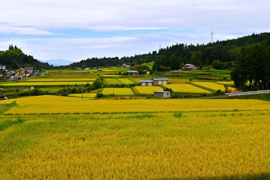 1-Day Tour from Nagoya: Hiking the Historic Nakasendo Trail - Key points to know before booking