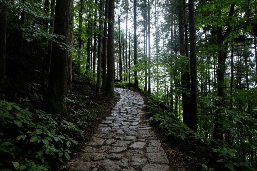 1-Day Tour from Nagoya: Hiking the Historic Nakasendo Trail - Why this Nakasendo walk feels different