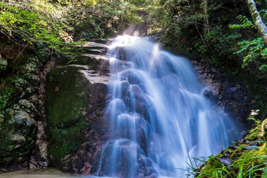 1-Day Tour from Nagoya: Hiking the Historic Nakasendo Trail - The 8-kilometer trail through forests and mountain villages