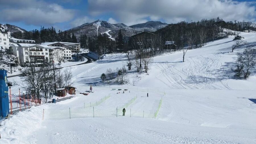 1 Day Tour: Snow Monkeys & Snow Fun in Shiga Kogen - Is $165 good value?