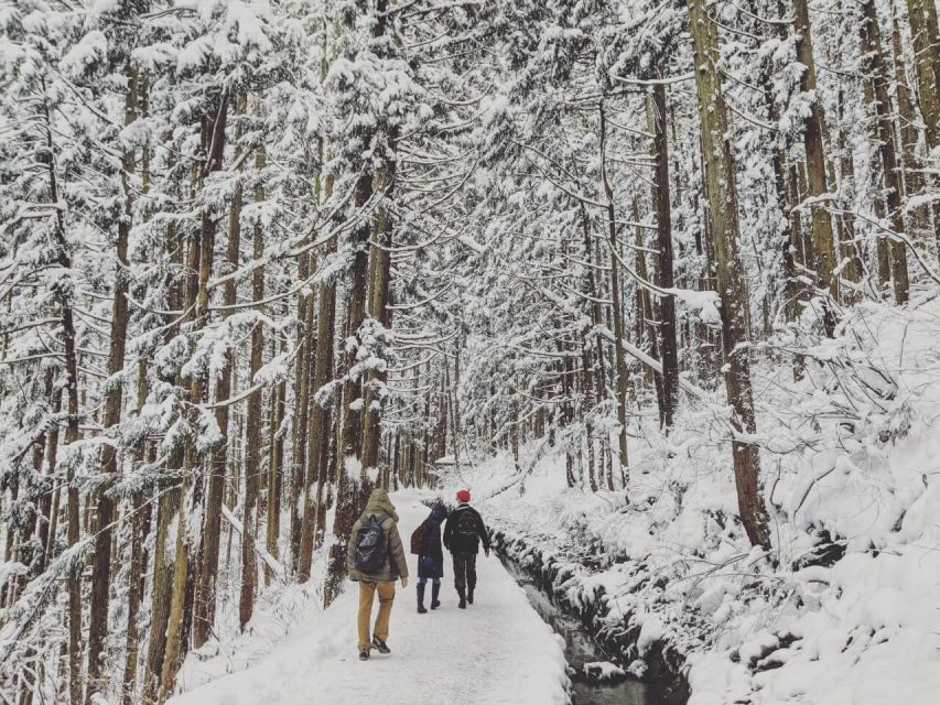 1 Day Tour: Snow Monkeys & Snow Fun in Shiga Kogen - Lunch beside the ski slopes