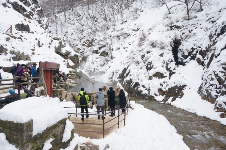 1 Day Tour: Snow Monkeys & Snow Fun in Shiga Kogen - The 1.6-kilometre walk to Jigokudani