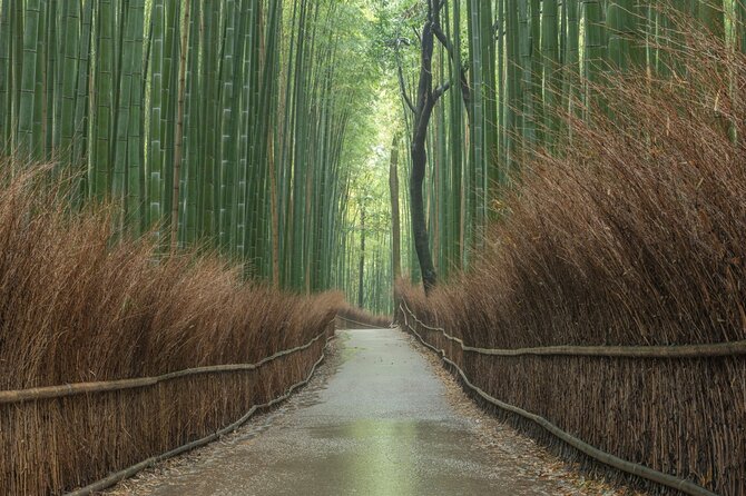 10 Must-see Spots in Kyoto One Day Private Tour (up to 7 people) - Arashiyama combines bamboo, gardens, and river views