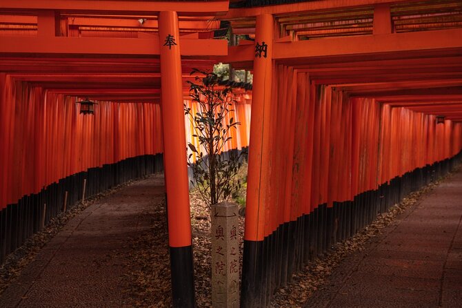 10 Must-see Spots in Kyoto One Day Private Tour (up to 7 people) - Yasakanoto and Gion finish the route