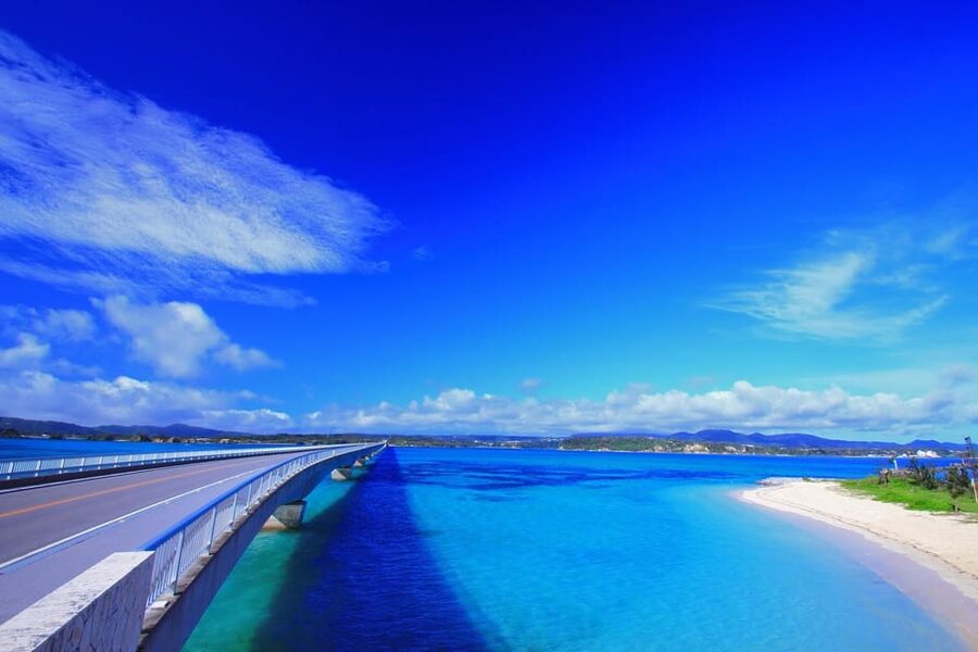 <1Dya Tour>Churaumi Aquarium, Cape Manzamo, American Village - Key points to know