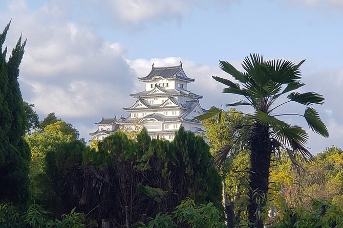 2.5 Hour Private History and Culture Tour in Himeji Castle - Meeting Your Guide Near the Castle Entrance