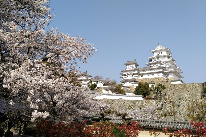 2.5 Hour Private History and Culture Tour in Himeji Castle - Inside Himeji Castle With Time for Questions
