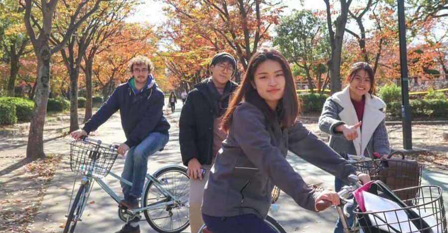 5-Hour Osaka Highlights Bike Tour with Lunch - What $85 gets you