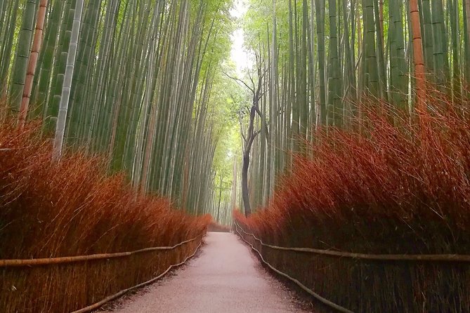 5 Top Highlights of Kyoto Full Day Bike Tour (E-bike option) - What the riding day feels like
