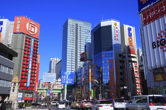 Akihabara Anime & Game Adventure Walking Tour (Group or Private) - Akihabara in three hours: what this tour is really for