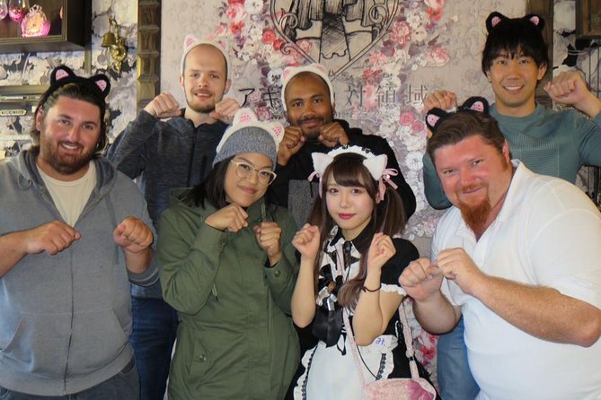 Akihabara Anime & Game Adventure Walking Tour (Group or Private) - Meeting at the Electric Town Gate