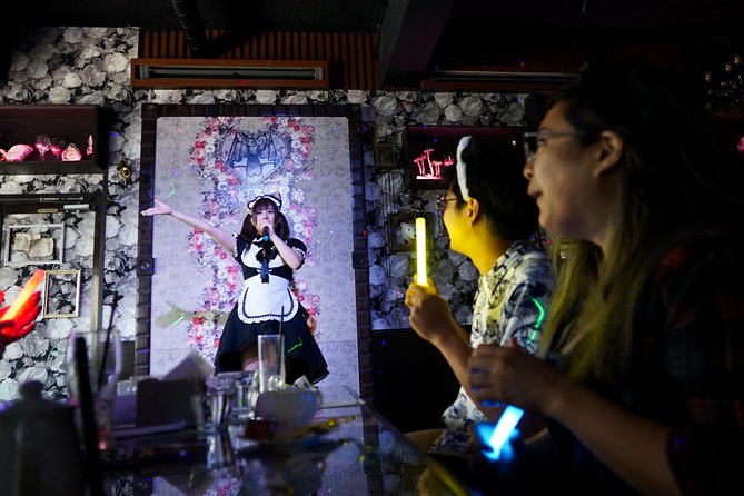 Akihabara Anime & Game Adventure Walking Tour (Group or Private) - Akiba Cultures Zone and the shop-to-shop rhythm