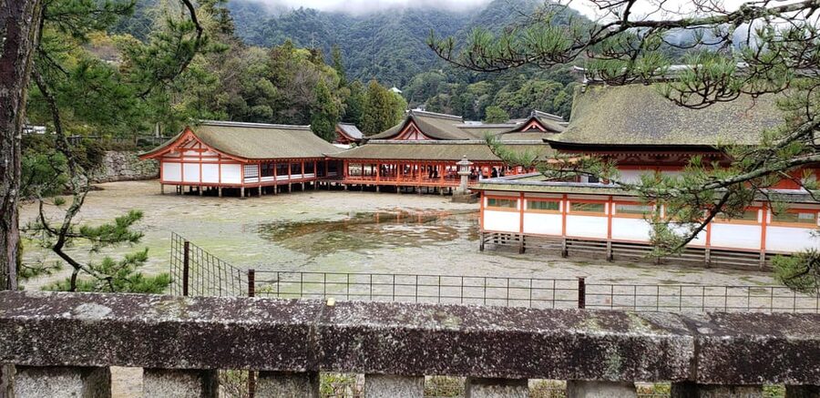 Amazing Hiroshima: Private City Tour with a Local Guide - A walk through Hondōri