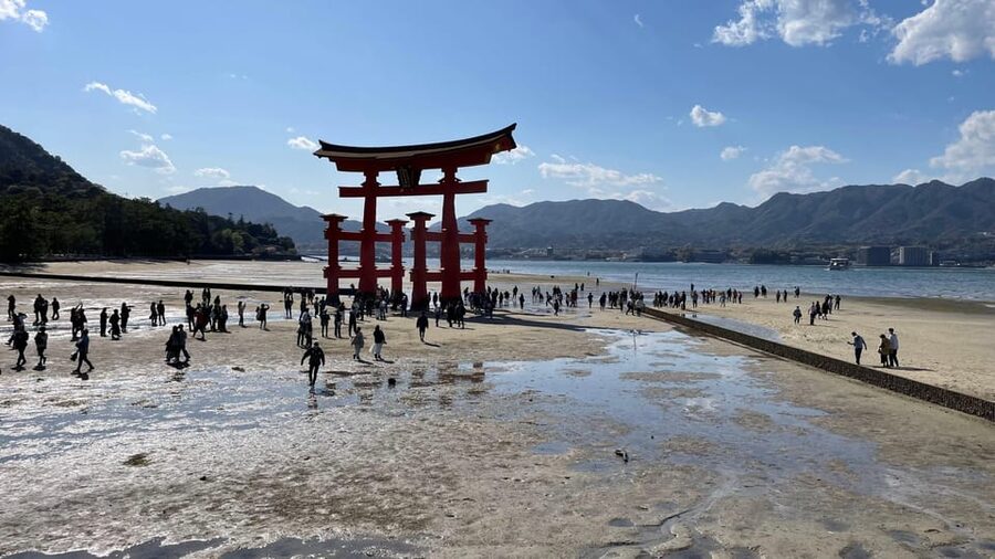 Amazing Hiroshima: Private City Tour with a Local Guide - Itsukushima Shrine and Daisho-in Temple