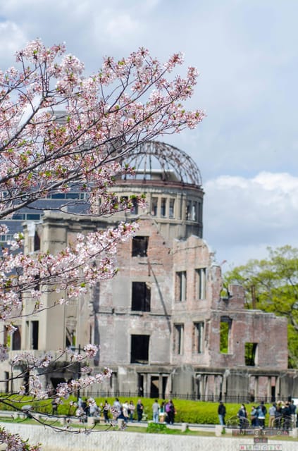 Amazing Hiroshima: Private City Tour with a Local Guide - Starting with Hiroshima’s Peace Memorial Park