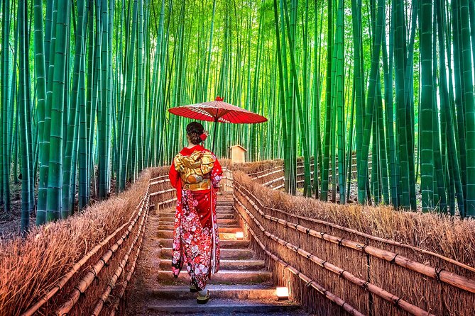 Ancient Capital Tour: Kyoto and Nara Highlights from Kyoto/Osaka - Lunch, tickets, and package choices