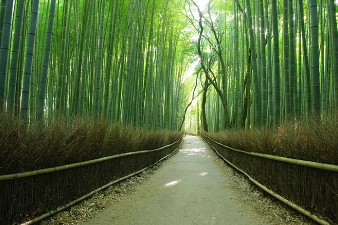 Ancient Capital Tour: Kyoto and Nara Highlights from Kyoto/Osaka - Who will get the most from this day