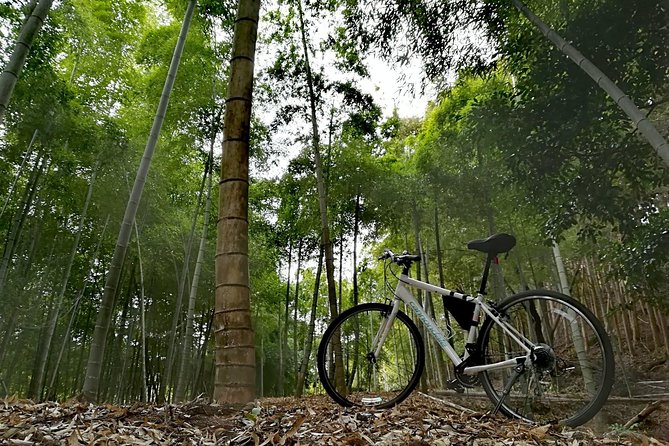 Arashiyama Bamboo Forest & Hidden Gems Bike Tour (Early Bird) - The guides make the ride more than transport
