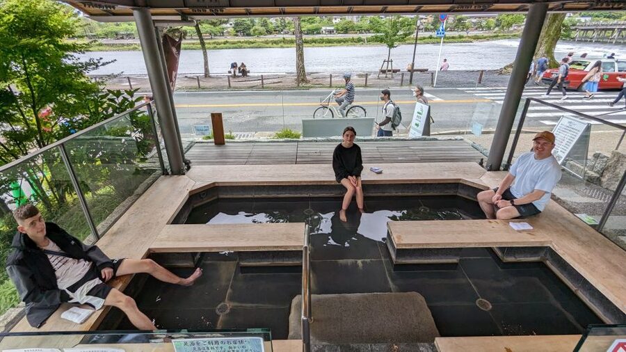 Arashiyama Bamboo, Temple, Monkeys, or Secret Sake Brewery - Option B: Local lunch and Tanzan Brewery