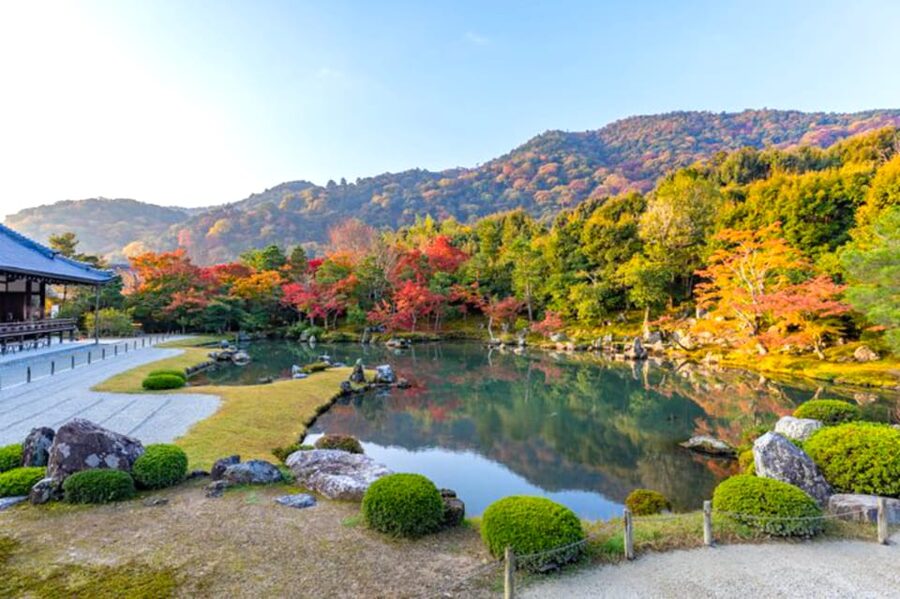 Arashiyama Bamboo, Temple, Monkeys, or Secret Sake Brewery - Nonomiya Shrine and the customs of a Japanese shrine