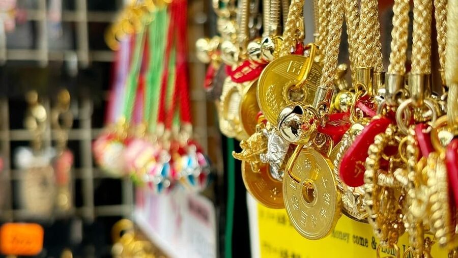 Awesome Private Tour: Tsukiji, Asakusa, Shinjuku, Shibuya - Key points to know before you book
