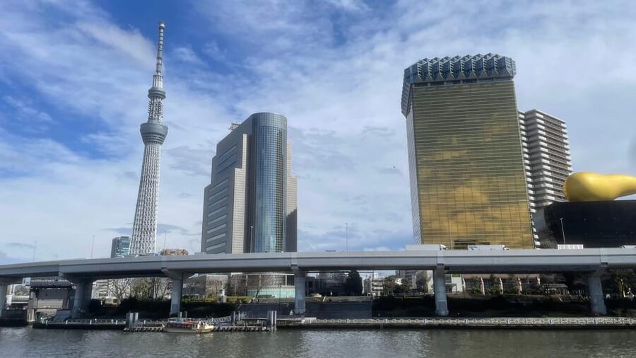 Awesome Private Tour: Tsukiji, Asakusa, Shinjuku, Shibuya - A private way to get your Tokyo bearings