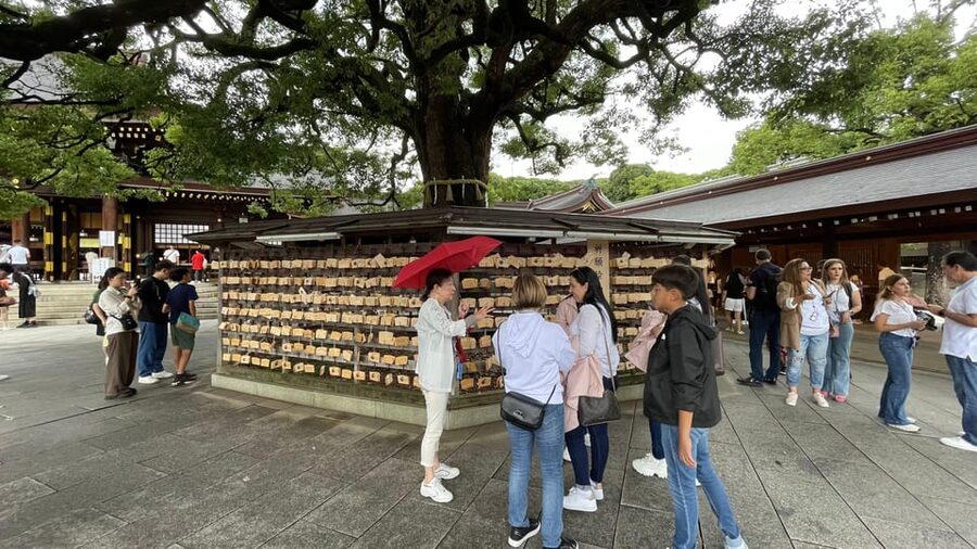 Awesome Private Tour: Tsukiji, Asakusa, Shinjuku, Shibuya - Asakusa, Tokyo’s most rewarding history lesson