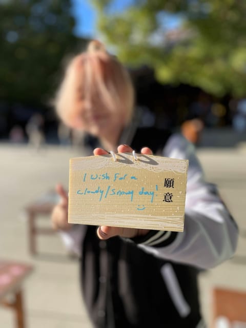 Awesome Private Tour: Tsukiji, Asakusa, Shinjuku, Shibuya - Akihabara and Ueno for pop culture and older Tokyo