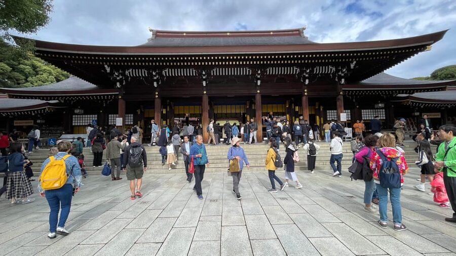 Awesome Private Tour: Tsukiji, Asakusa, Shinjuku, Shibuya - Shinjuku after dark, from Omoide Yokocho to Golden Gai