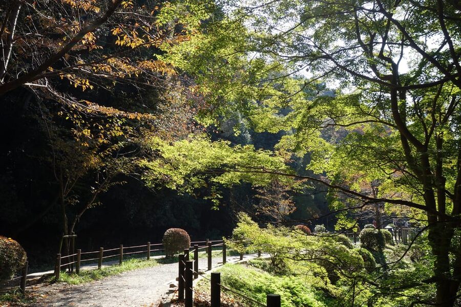 Best of Kyoto: Ginkakuji & Path of Philosophy E-Bike Tour - Ginkakuji and its carefully shaped gardens