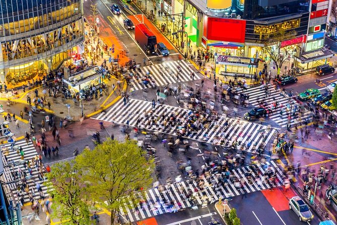 Best of Shibuya Food Tour - Key points before you book
