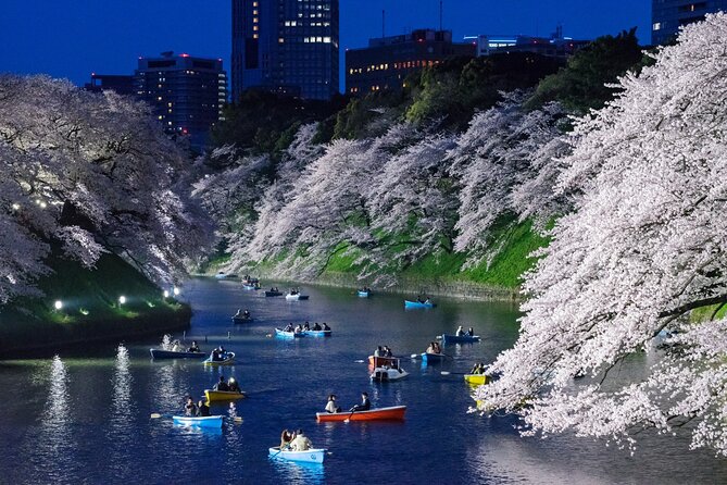 Cherry Blossom Private Tour - The blossom forecast is the biggest variable