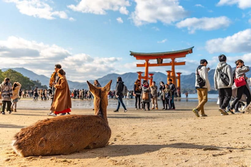Day Trip to Hiroshima & Miyajima with Itsukushima Shrine - Key points to know before booking