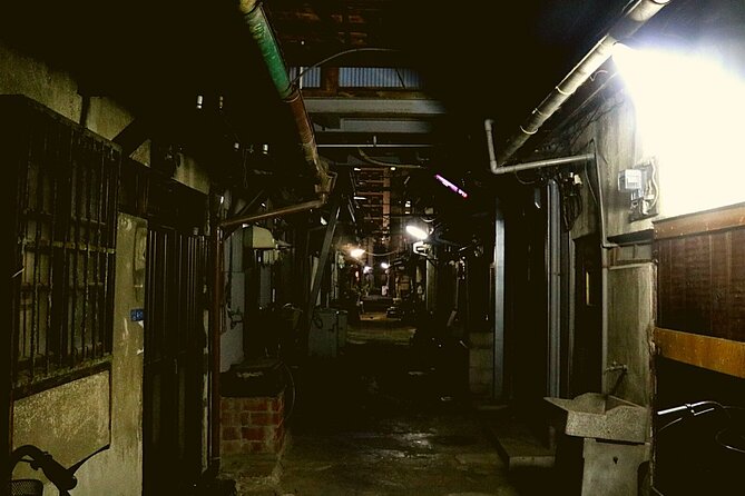Deep Backstreet Osaka Tours (Option to add Dinner) - Why this Osaka walk feels different