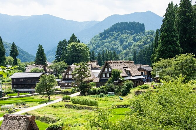 Departing from Takayama [Regular sightseeing bus] World Heritage Sites Shirakawago and Gokayama Ainokura - Shirakawago: the main event with choices to make