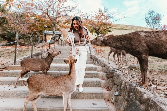 Discover Himeji, Kobe and Nara from Osaka - Three Kansai cities from one Osaka departure