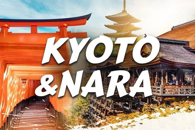 Discover Himeji, Kobe and Nara from Osaka - The pace, group size, and bus time