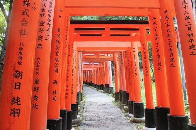 Discover Himeji, Kobe and Nara from Osaka - Who will enjoy this day trip most?