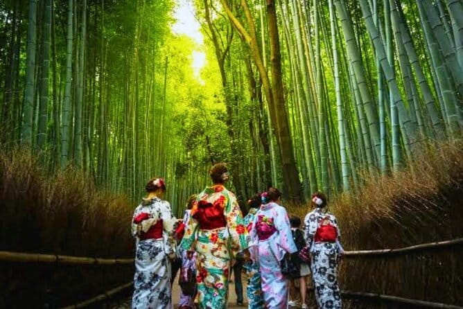 Discover Himeji, Kobe and Nara from Osaka - Is $91 a fair price?