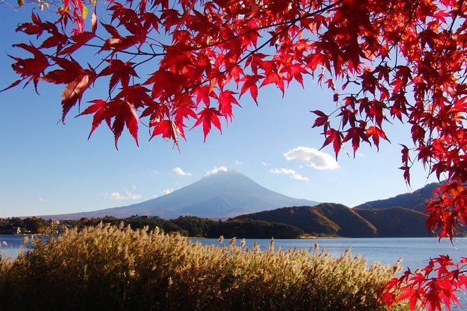 Discover Mt. Fuji 5th Station & Kawaguchiko Sightseeing Day Tour - The climb to Mt. Fuji 5th Station