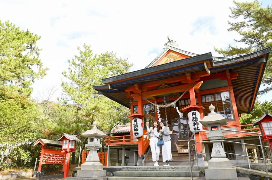 Discover the Wonder of Sakurajima Half Day Tour in Kagoshima - Guide Style and Group Size
