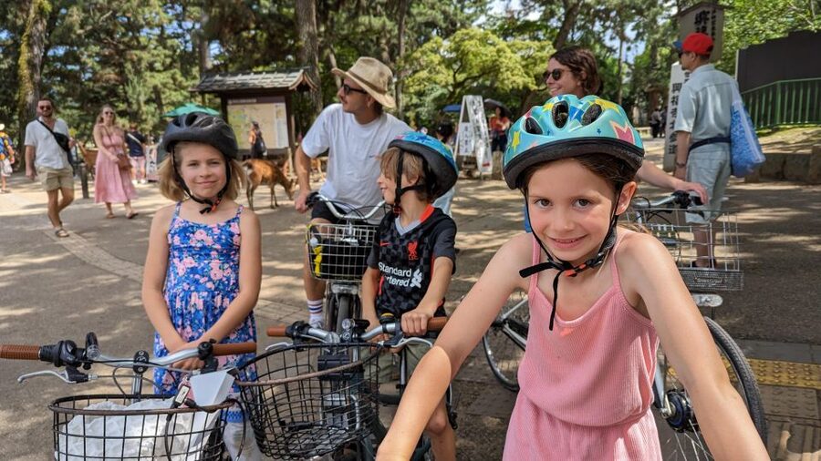 E-Bike Nara Highlights - Todaiji, Knives, Deer, Shrine - Cruising through Nara Park