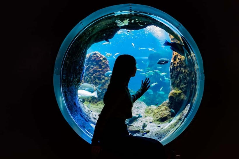 Enoshima Aquarium: Admission Ticket - Why Sagami Bay Makes a Good Starting Point