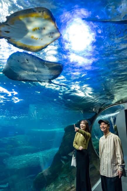Enoshima Aquarium: Admission Ticket - From Coastal Waters to the Deep Sea